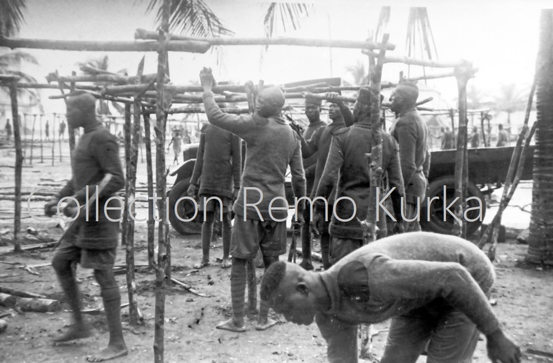 Gold Coast regiment building shelters after the earthquake